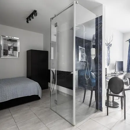 Nowoczesny Glamour Z Prysznicem Posrodku Apartment